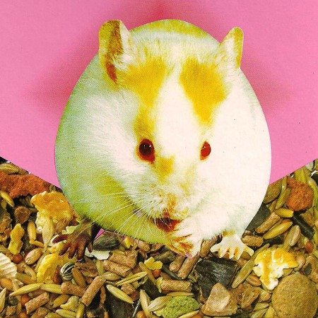 EB Litter para Hamster, caixa 800 g